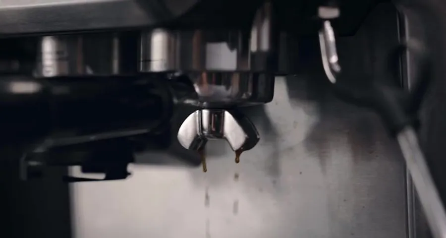 A Cleaner-Tasting Cup: Possiave coffee maker water filter